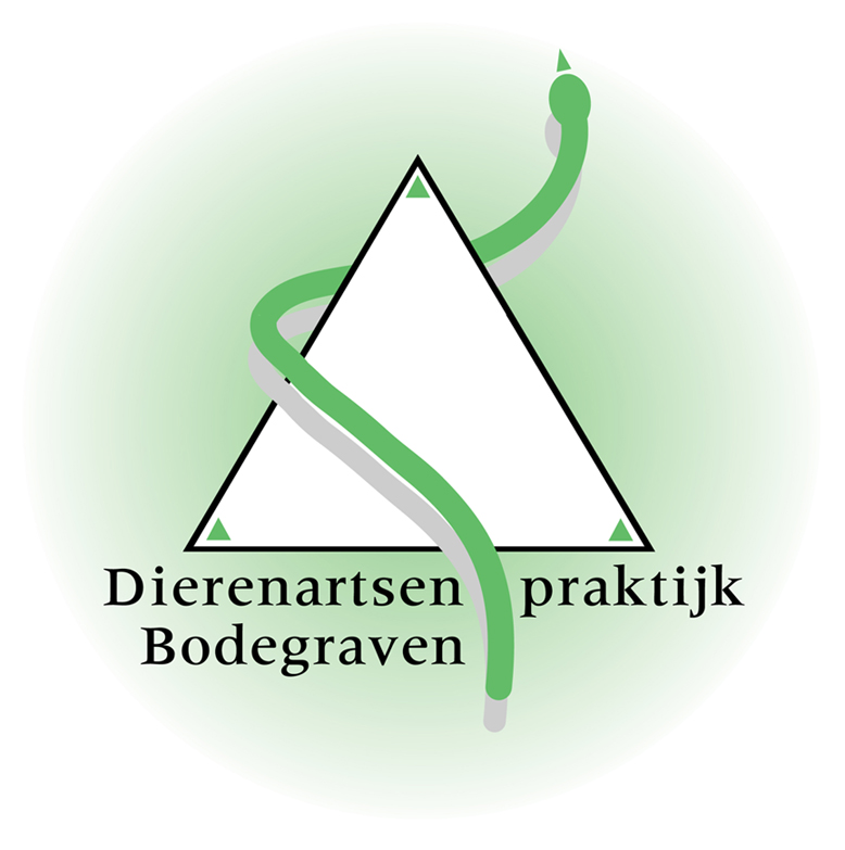 Logo van DAP Bodegraven BV