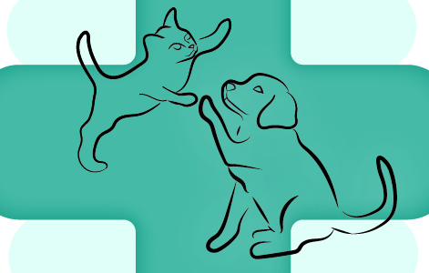 Logo van Dierenkliniek Haanebeek