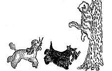 Logo van a Compagner