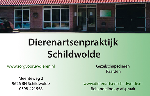 Logo van DAP Schildwolde