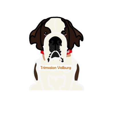 Logo van Trimsalon Valburg