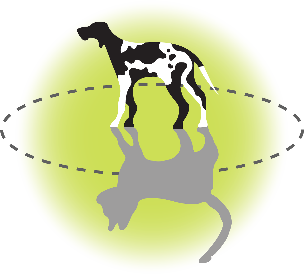 Logo van Dap Groesbeek Milsbeek