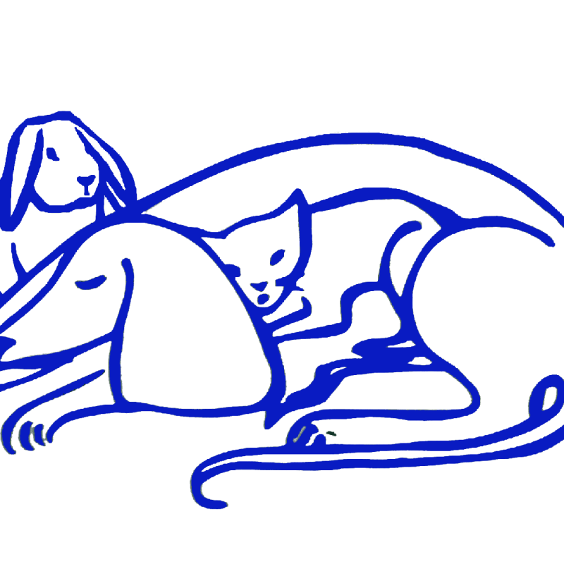 Logo van Dierenkliniek Statenlaan