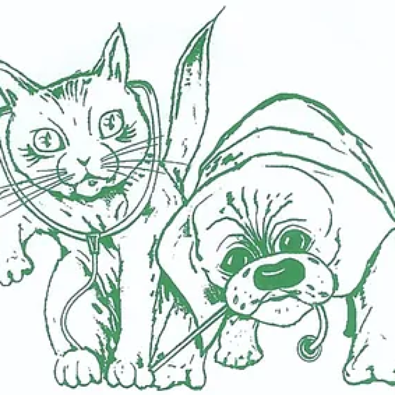 Logo van Dierenkliniek Vrieze