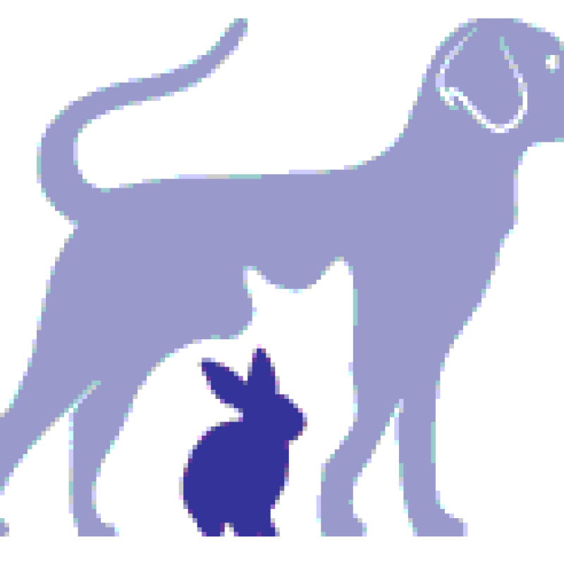 Logo van Dierenziekenhuis Oldenzaal