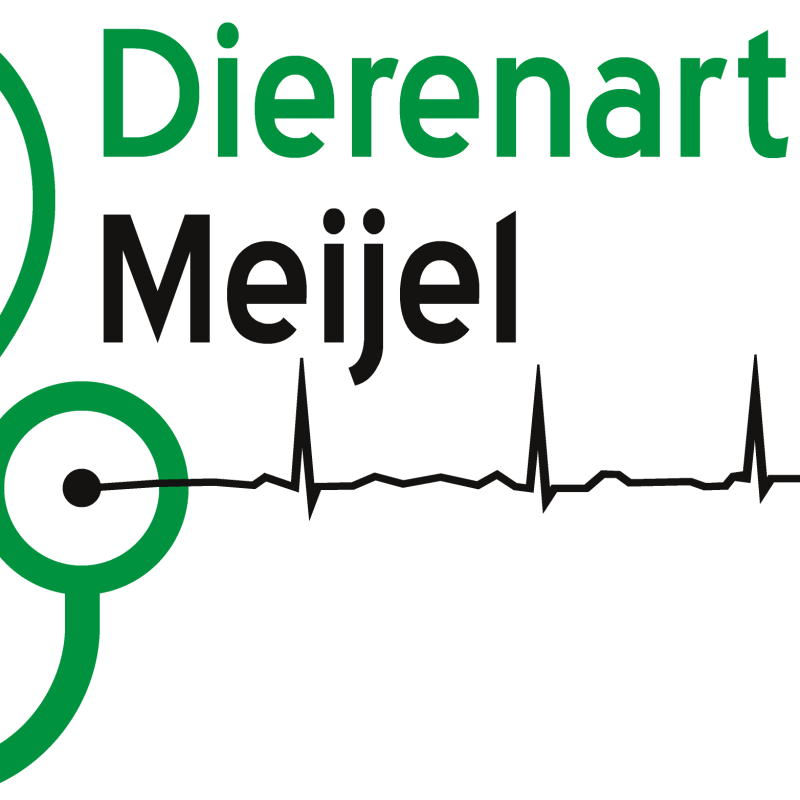 Logo van Dierenartspraktijk Meijel