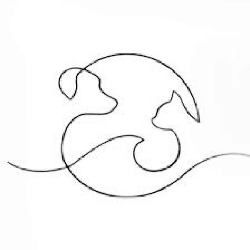 Logo van Zandvoortse Dierenarts
