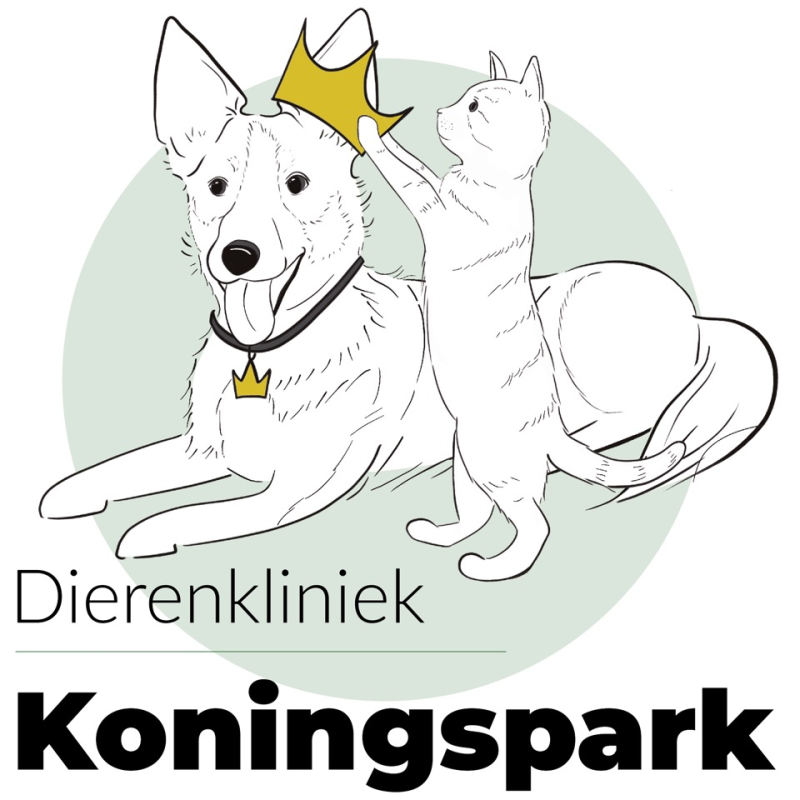 Logo van Dierenkliniek Koningspark