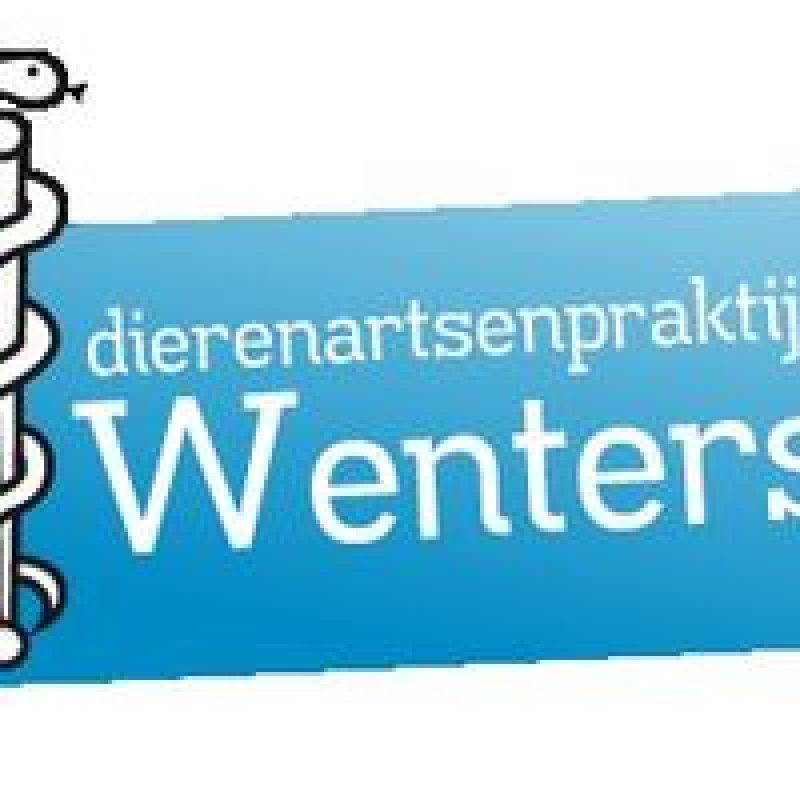Logo van DAP Wenters