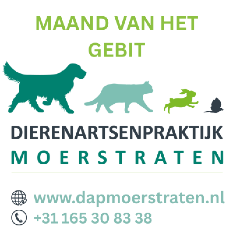 Logo van DAP MOERSTRATEN