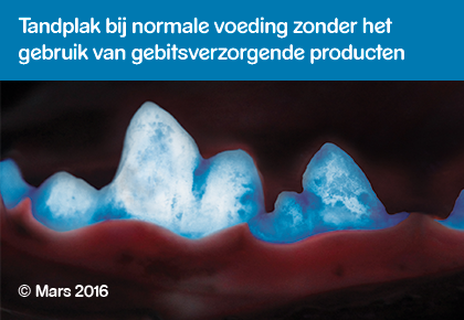 Waltham Pet Nutrition study zonder gebitsverzorgende producten